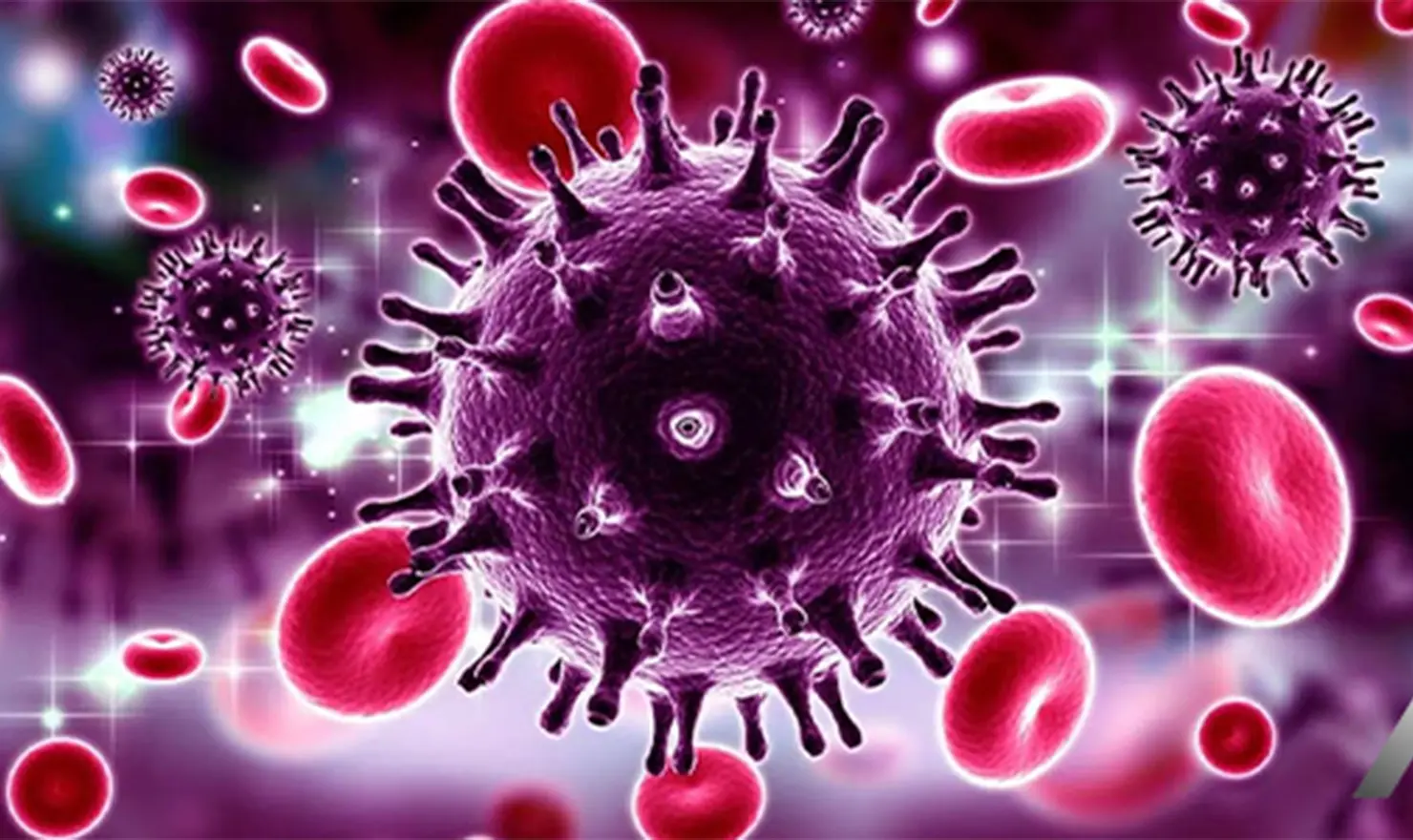 AIDS / HIV