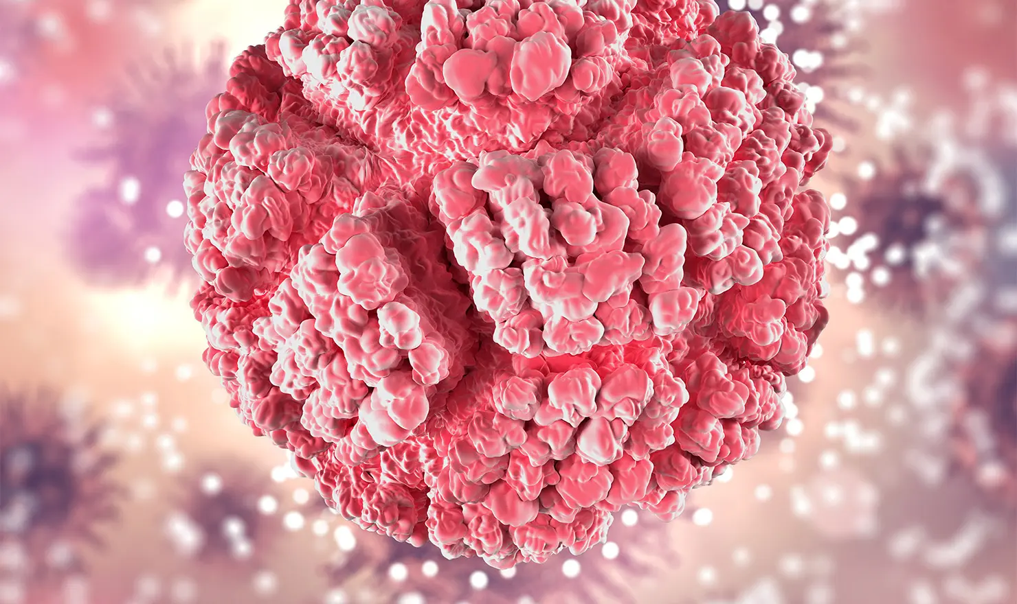 HPV (Human Papilloma Virüs)